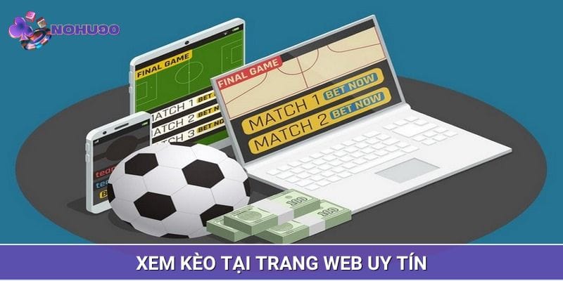 Nên tìm đúng trang uy tín xem hình thức cược