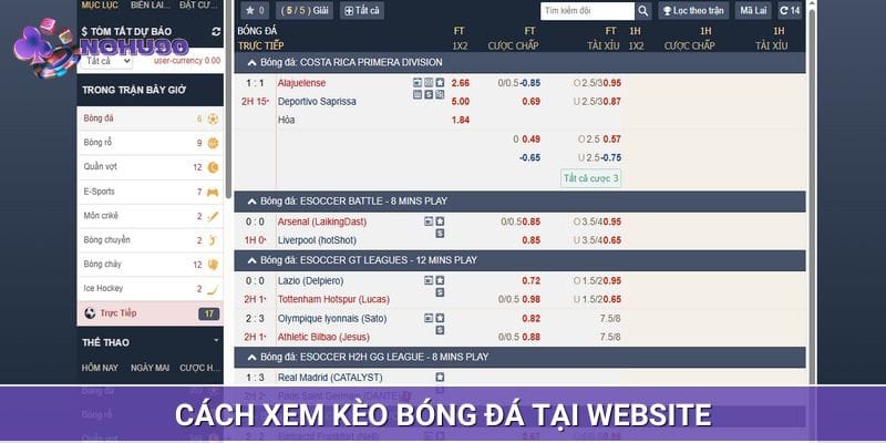 Cách xem kèo bóng đá tại website đúng