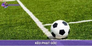 Cược phạt góc rất được ưa chuộng